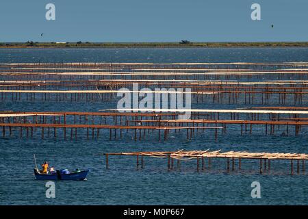 France,Herault,Bouzigues,lagune de Thau parcs huîtres,avec un bateau de pêcheur dans l'avant-plan Banque D'Images