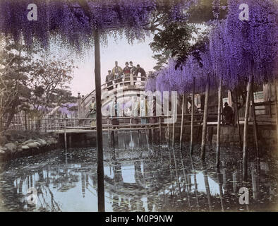 C. 1880 Japon - Fleurs de glycine et pont Banque D'Images