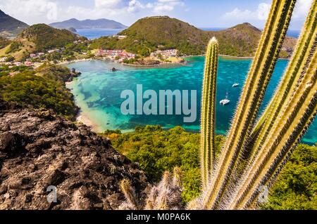 France,Caraïbes Petites Antilles Guadeloupe,,,Les Saintes,Terre-de-Haut, vue sur la baie de Marigot, à partir d'un promontoire sur le Morne Morel,sentier de randonnée (cactus Cereus royeni) en premier plan Banque D'Images