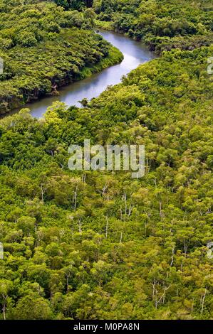 La France, la Guadeloupe, Basse-Terre, Petit-Bourg,vue aérienne de la rivière La Lézarde entouré par des forêts tropicales et des mangroves (vue aérienne) Banque D'Images