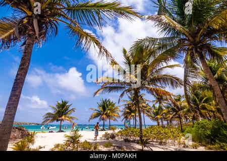 France,Caraïbes Petites Antilles,,Petite Terre Réserve naturelle nationale,donnant sur la plage principale de Terre-de-Bas et ses cocotiers Banque D'Images