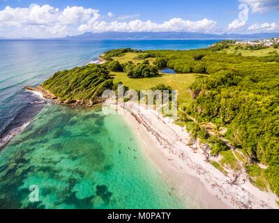 France,Caraïbes Petites Antilles, la Guadeloupe, Grande-Terre,,Le Gosier,vue aérienne sur la plage de Saint Félix, mangrove dans l'arrière-plan (vue aérienne) Banque D'Images