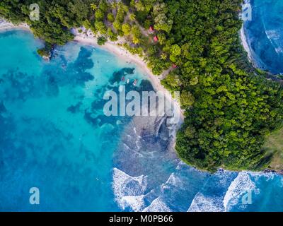 France,Caraïbes Petites Antilles, la Guadeloupe, Grande-Terre,,Le Gosier,vue aérienne sur la plage de Petit Havre (vue aérienne) Banque D'Images