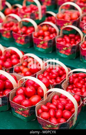 Canada,Ontario,Ottawa, capitale du Canada, Marché By, petites tomates Banque D'Images