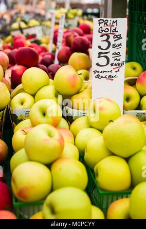 Canada,Ontario,Ottawa, capitale du Canada,pommes,du Marché By Banque D'Images