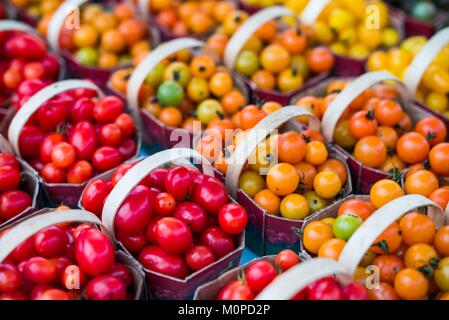 Canada,Ontario,Ottawa, capitale du Canada, Marché By, petites tomates Banque D'Images