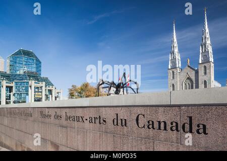 Canada,Ontario,Ottawa, capitale du Canada,National Gallery et basilique Notre Dame avec Maman sculpture de Louise Bourgeois Banque D'Images