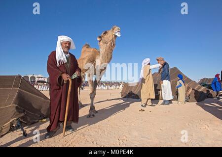 Sahara Douz tunisie,,,festival international du Sahara à Douz, bédouins et tentes nomades avec dromadaire Banque D'Images