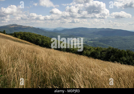 L'été à Bieszczady. Pologne Banque D'Images