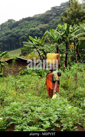 Les femmes congolaises portant de l'eau pour une longue distance jusqu'à leur village. Banque D'Images