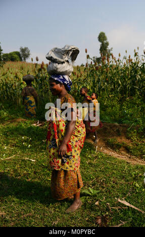 Les femmes congolaises de marchandises pour une longue distance jusqu'à leur village. Banque D'Images