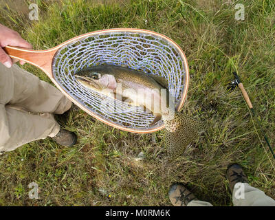 Pêche à la mouche de la truite pêchée dans le Wyoming Banque D'Images