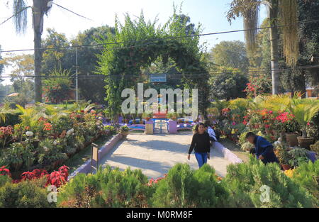 Personnes visitent Ratna park à Katmandou au Népal. Banque D'Images