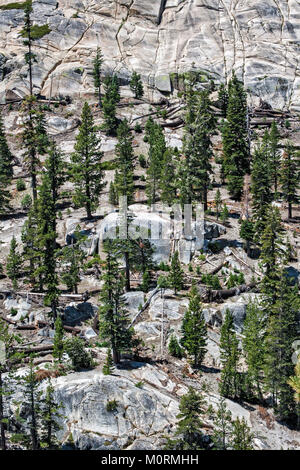 Les rochers et les conifères à Devils Postpile National Monument, l'Inyo National Forest, comté de Madera, California, USA Banque D'Images