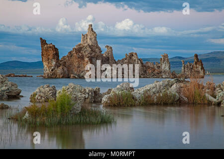 Formations de tuf du sud au lac Mono, Mono County, Californie, USA Banque D'Images