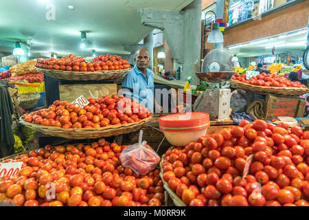 Tomaten auf dem Zentralmarkt à Port Louis, Maurice, Afrika | tomates Marché Central de Port Louis, Ile Maurice, Afrique du Sud Banque D'Images