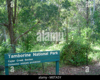 Cedar Creek Falls, situé dans le parc national de Tamborine, Queensland, Australie, est connu pour sa beauté pittoresque et ses cascades naturelles. Les chutes sont une destination touristique populaire dans l'arrière-pays de la Gold Coast. Banque D'Images