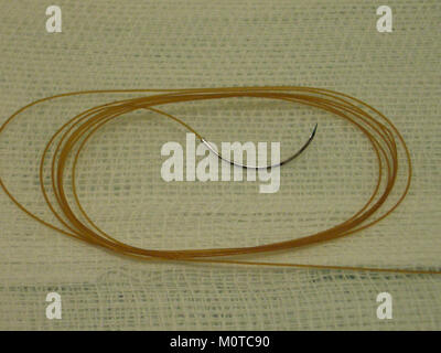 Catgut Plain est un type de cordon traditionnellement fabriqué à partir de la fibre naturelle des intestins de mouton ou de chèvre. Il est utilisé dans diverses applications, y compris dans les cordes d'instruments de musique, les sutures chirurgicales, et d'autres utilisations spécialisées. Banque D'Images