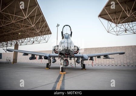 Le 303e Escadron de chasse expéditionnaire débarqua à Al Udeid Air Base, au Qatar, en route pour l'aérodrome de Kandahar le 18 janvier 2018. Us Air Forces Central Command réaligné airpower à USFOR-Combined-Joint une zone d'opération (CJOA) pour appuyer l'accroissement des opérations à l'appui de l'appui résolu et le fonctionnement de la Mission de la liberté de la Sentinelle. (U.S. Air National Guard photo par le Sgt. Phil Speck) Banque D'Images