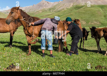 Couple de traire une mare nomades kirghizes sur les pâturages de montagne, lac Kol Chanson, province de Naryn, du Kirghizistan, de l'Asie centrale Banque D'Images