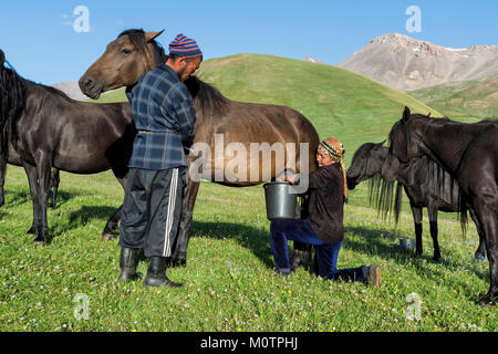 Couple de traire une mare nomades kirghizes sur les pâturages de montagne, lac Kol Chanson, province de Naryn, du Kirghizistan, de l'Asie centrale Banque D'Images