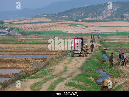 La Corée du Nord vieux tracteur dans un champ à la campagne, de la province de Pyongan, Pyongyang, Corée du Nord Banque D'Images