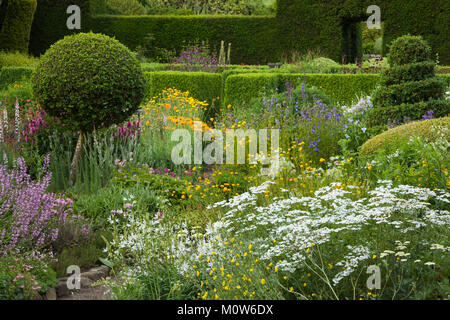 Plantes colorées fleurs poussent de manière informelle entre les sphères des topiaires et des spirales dans le jardin fleuri de maison Herterton, Northumberland, Angleterre. Banque D'Images