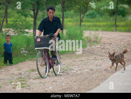 L'homme de la Corée du Nord à vélo avec un chien attaché à son vélo, Province du Hwanghae du Nord, Kaesong, Corée du Nord Banque D'Images