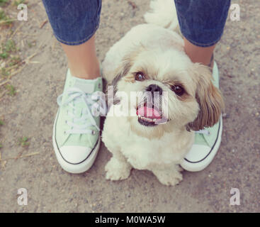 La patte de chien pieds à côté du propriétaire -- marcher ensemble (tons instagram) Banque D'Images