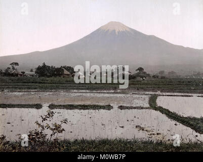 C. 1880 Japon - vue sur le Mont Fuji et rizières Banque D'Images