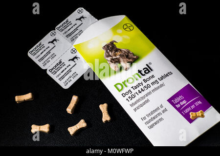 Drontal 'Dog' os savoureux comprimés par Bayer. Pour traiter la plupart des types de vers chez les chiens, y compris les vers ronds, les ankylostomes, trichures ténias et. Banque D'Images