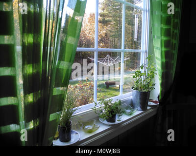 Avec rebord de fines herbes en pot avec vue sur jardin Banque D'Images