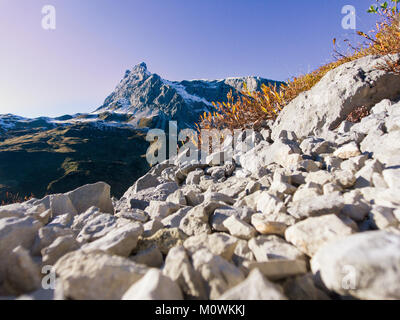 Grand panorama dans les Alpes suisses Banque D'Images