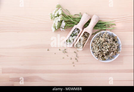 Vue de dessus de cuillères et bol à fruits frais et secs des fleurs et des feuilles d'achillée avec background with copy space Banque D'Images