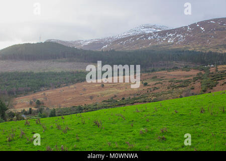 Une vue de l'une des nombreuses collines et vallées enneigées des montagnes de Mourne dans le comté de Down en Irlande du Nord sur un après-midi de l'hiver terne Banque D'Images