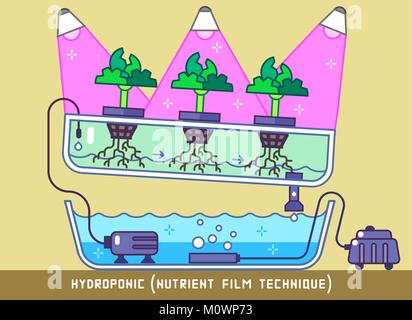 Les plantes qui poussent avec des nutriments hydroponiques dans Phytolamps la technique Film Illustration de Vecteur