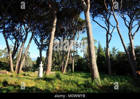 France,Alpes Maritimes,Antibes,Le Jardin botanique de la Villa Thuret, étiquetés et Jardin Remarquable Arbre remarquable Banque D'Images