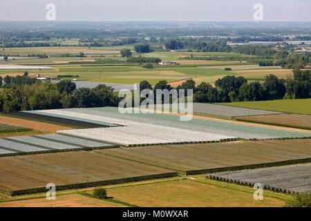 France,Tarn et Garonne,Lafrancaise,Point de vue de la vallée du Tarn,filets de protection des cultures Banque D'Images