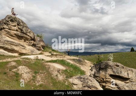 United States, Washington state,boucle Cascade,Chelan County,ville de Wenatchee Wildflower,marche pied Wenatchee Banque D'Images