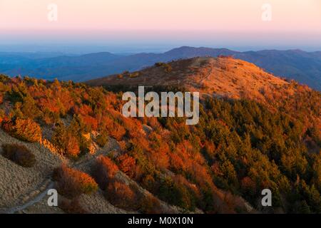 France,Gard,Les Causses et les Cévennes, paysage culturel de l'agro pastoralisme méditerranéen,inscrite au patrimoine mondial de l'UNESCO, Parc National des Cévennes,répertorié comme se réserve Biosphère par l'UNESCO, Valleraugue,massif de l'Aigoual, Cévennes Banque D'Images