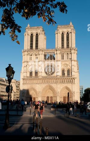 France,Paris,Ile de la cité, la cathédrale Notre-Dame au coucher du soleil,inscrite au Patrimoine Mondial de l'UNESCO Banque D'Images