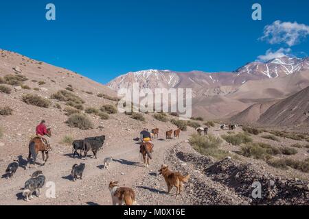 L'Argentine, la Province de San Juan, Barreal, Rio de los Patos Valley, où le général San-Martin, commandant en chef de l'armée des Andes commence de Mendoza cr Banque D'Images