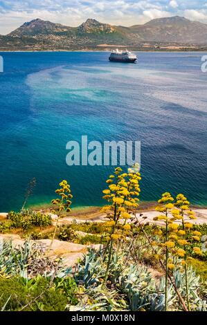 La France,Corse,Balagne Calvi,vue,sur la côte à travers les agaves autour de la citadelle génoise Banque D'Images