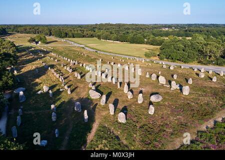 France,Morbihan,Carnac,rangée de pierres mégalithiques à Kermario (vue aérienne) Banque D'Images