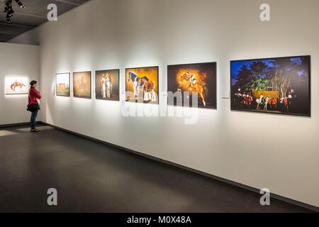 La Suède, Stockholm,île de Södermalm, le Musée de la photographie Fotografiska sur les quais de Stadsgården,exposition de photographies de Yann Arthus-Bertrand Banque D'Images