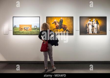 La Suède, Stockholm,île de Södermalm, le Musée de la photographie Fotografiska sur les quais de Stadsgården,exposition de photographies de Yann Arthus-Bertrand Banque D'Images