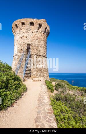 France,Corse du Sud,tour génoise de Fautea Banque D'Images