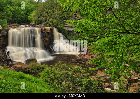 Blackwater Falls iconique de la Virginie de l'Ouest Banque D'Images