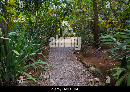 Jardín de voies par Donarían Caridad Viñales, Cuba en Banque D'Images