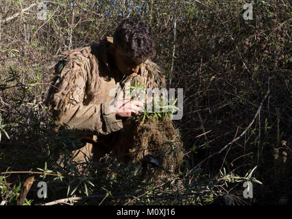 LCpl. Derrick King, 22 ans, de Kansas City, MO, professionnellement l'instruction régimentaire tireur avec société de surveillance et d'acquisition, 1er Régiment de Marines, l'arrière son ghillie suit en vue d'un exercice sur le mouvement le 22 janvier 2018. RSTAC est conçue pour renforcer la maîtrise des opérations pour sniper scout exercices de niveau de service jusqu'à vivre la mission à plein feu adulte, les rapports de surveillance et de reconnaissance et d'exploitation du centre de contrôle d'un grand angle d'incendies de précision. (U.S. Marine Corps Banque D'Images